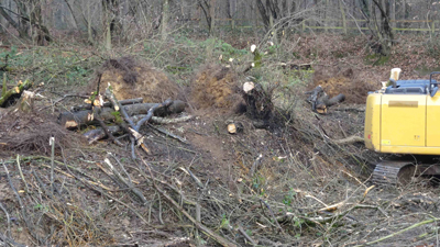 Lebensraumgestaltung an der Senker Kuhle