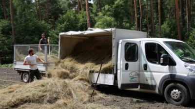 Mahdguttransport