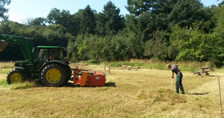 Mahd auf einer Waldwiese