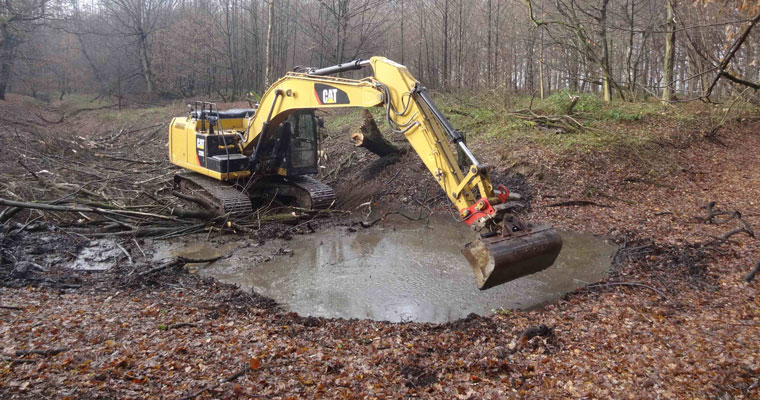 Kleiner Eisvogel auf der Stromtrasse bei Volmershoven